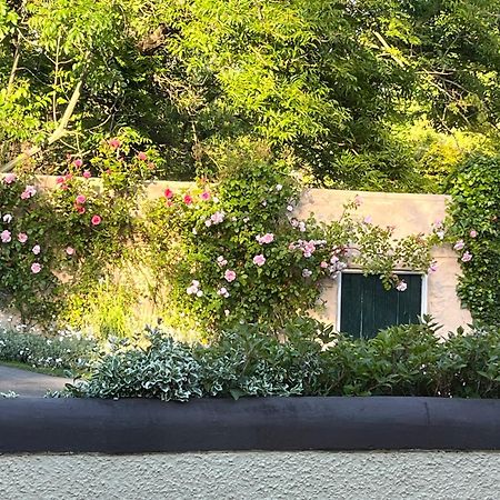 Bed and Breakfast Old Mill House Larne Exterior foto