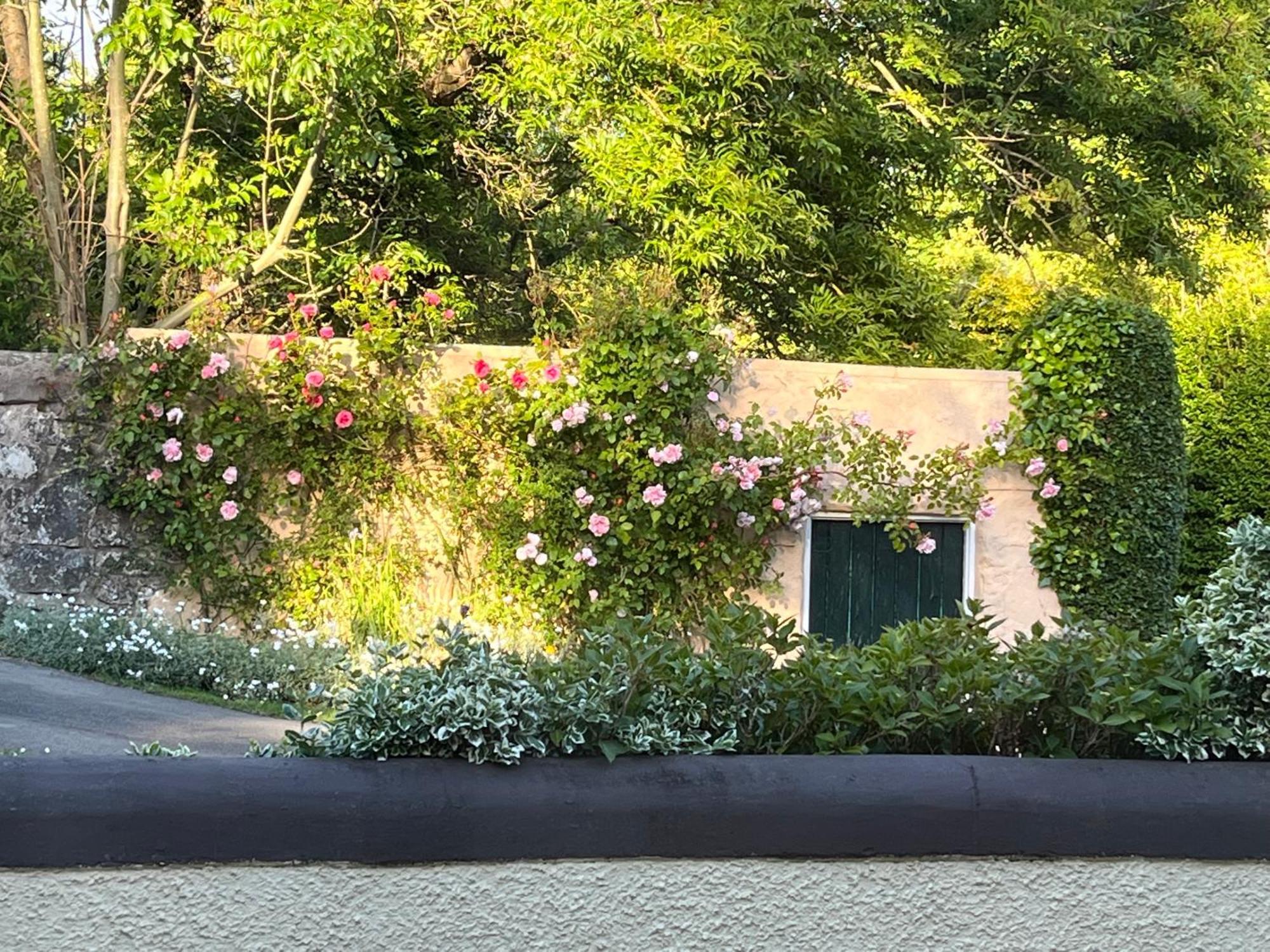 Bed and Breakfast Old Mill House Larne Exterior foto