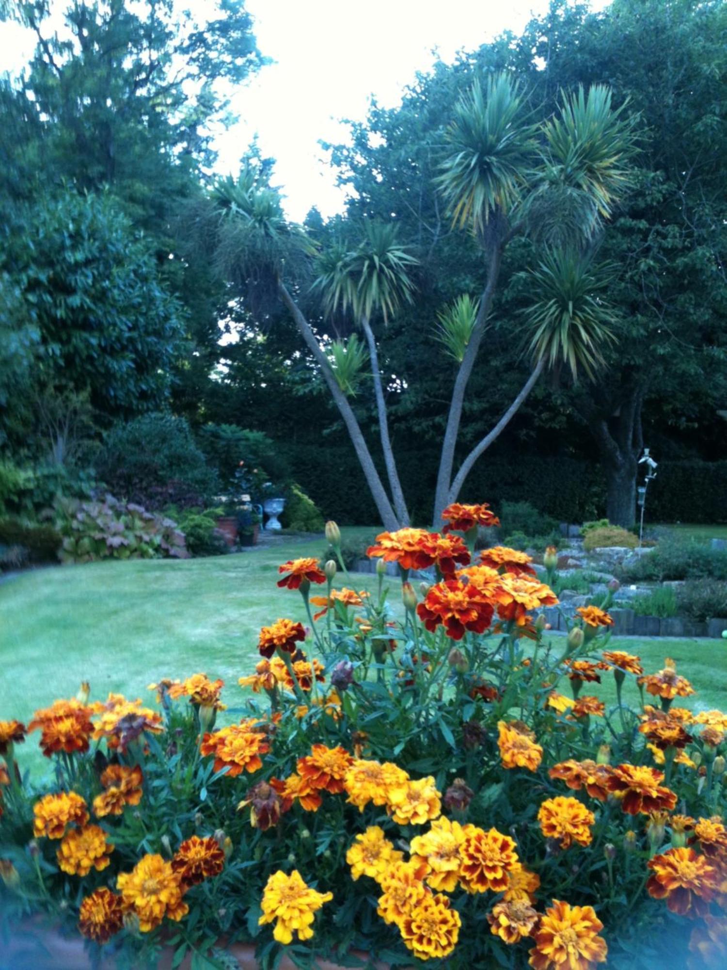 Bed and Breakfast Old Mill House Larne Exterior foto